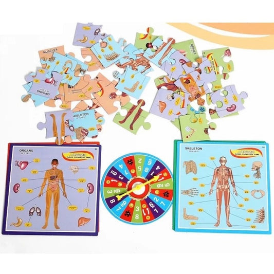 Puzzle magnetice – Joc de masa, Parti ale corpului uman