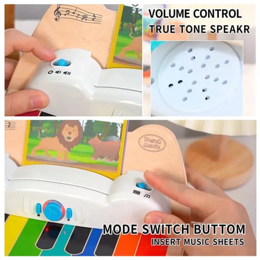 Orga Lemn Touch CDL-3011