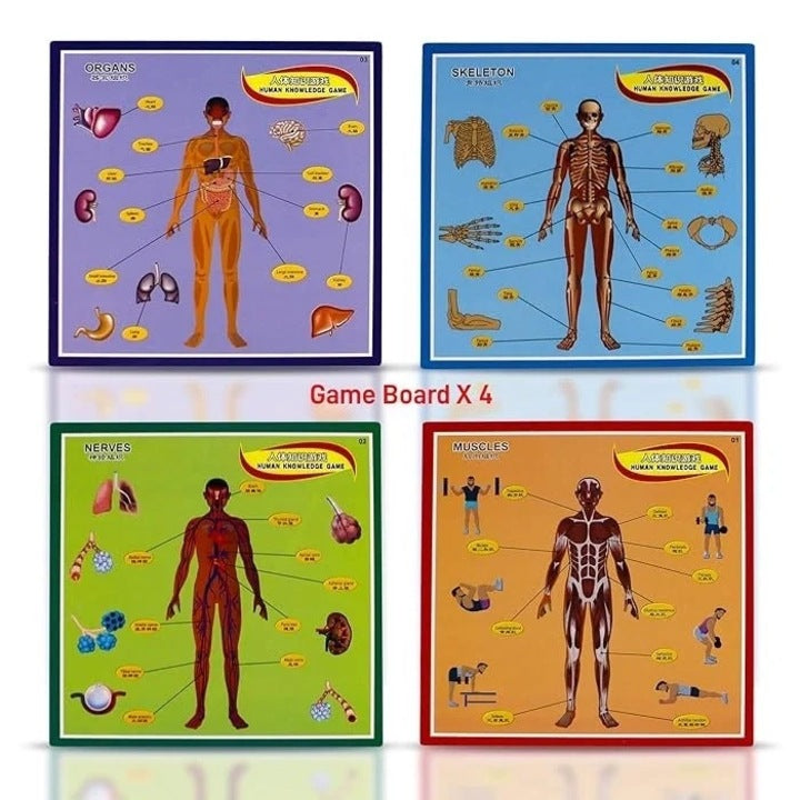 Puzzle magnetice – Joc de masa, Parti ale corpului uman